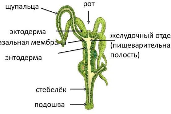 Кракен 2krnk